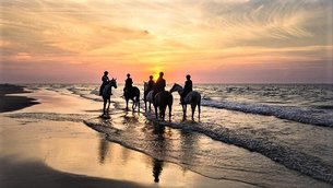 Experience Horse Riding in Greece, South Aegean | Horseback Riding - Rated 1