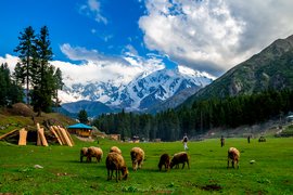 Fairy Meadows in Pakistan, Gilgit−Baltistan | Trekking & Hiking - Rated 3.9
