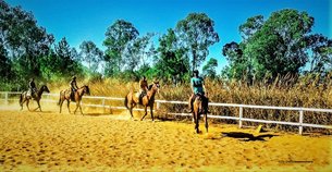 Faka Ranch | Horseback Riding - Rated 0.9