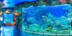 Fakieh Aquarium | Aquariums & Oceanariums - Rated 5.5