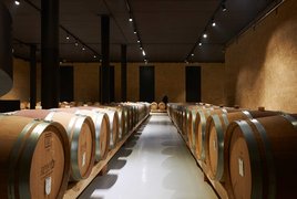 Farm Zyme Celestino Gaspari in Italy, Veneto | Wineries - Rated 0.9