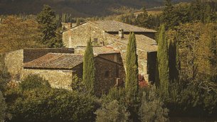 Il Poggio Farm in Italy, Tuscany | Wineries - Rated 3.9