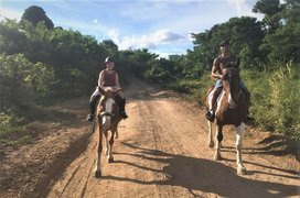 Total Wellness | Horseback Riding - Rated 0.9