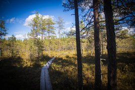 Sininen Polku in Finland, Kainuu Region | Trekking & Hiking - Rated 0.9