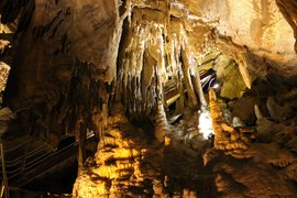 Fisher Ridge Cave in USA, Kentucky | Caves & Underground Places - Rated 0.7