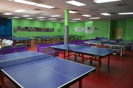 Fremont Table Tennis Academy | Ping-Pong - Rated 0.9