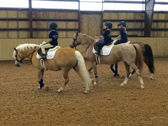 Poppyfields Equestrian | Horseback Riding - Rated 0.9