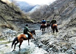 GEORGIA 4 YOU in Georgia, Tbilisi | Horseback Riding - Rated 0.9