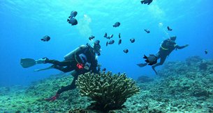 Scuba Diving In Miami | Scuba Diving - Rated 0.9
