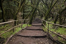 Garahonai National Park in Spain, Canary Islands | Parks - Rated 4