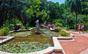 Garden Botanico Carlos Theis | Botanical Gardens - Rated 6.3