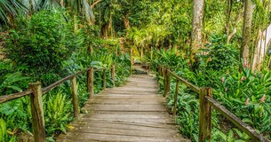 Garden of the Sleeping Giant in Fiji, Western Division | Botanical Gardens,Gardens - Rated 3.3