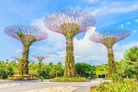 Gardens by the Bay | Gardens - Rated 9.8