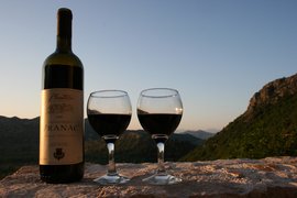 Garnet in Montenegro, Central Montenegro | Wineries - Rated 0.9