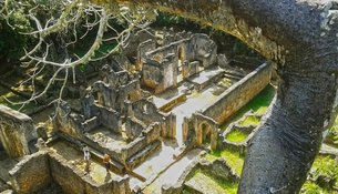 Gede Ruins Malindi | Excavations - Rated 3.5