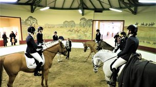 Gentofte Rideklub | Horseback Riding - Rated 0.8