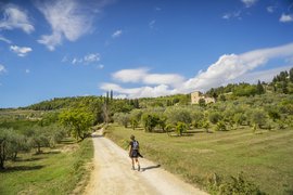 Anello del Rinascimento in Italy, Tuscany | Trekking & Hiking - Rated 0.9