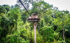 Gibbon Experience Office | Zip Lines - Rated 3.8