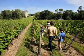 Domaine de la Croix in France, Provence-Alpes-Cote d'Azur | Wineries - Rated 0.7