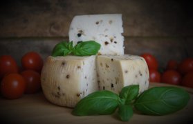 Seronada Babkowice Farm | Cheesemakers - Rated 0.9