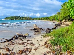 Grande Island in Panama, Colon | Surfing,Beaches - Rated 0.8