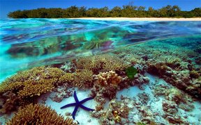 Great Barrier Reef | Nature Reserves - Rated 10