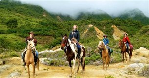 Green Horse Ranch in Ecuador, Pichincha | Horseback Riding - Rated 0.8