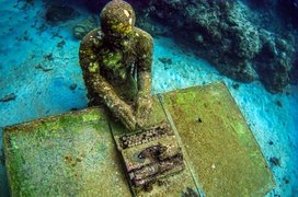 Grenada Underwater Sculpture Park | Museums,Diving - Rated 4.1