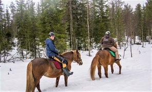 Hagnasin Tila Oy in Finland, Uusimaa | Horseback Riding - Rated 0.8
