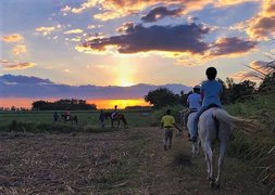 Happy Horse Farms Equestrian Centre in Philippines, Western Visayas | Horseback Riding - Rated 0.9