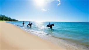 Happy Trails Stables Ride A Horse On The Beach in Bahamas, New Providence Island | Horseback Riding - Rated 0.9