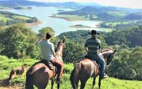 Haras Ype horseback riding in Brazil, Southeast | Horseback Riding - Rated 1