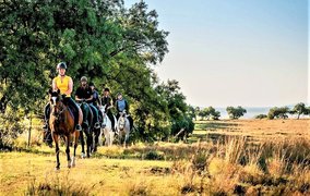 Harties Horse and Trail Safaris in South Africa, North West | Horseback Riding - Rated 4.3