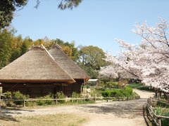 Hattori Ryokuchi Park in Japan, Kansai | Parks - Rated 3.3