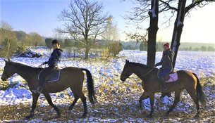 Heinshof in Germany, Lower Saxony | Horseback Riding - Rated 1