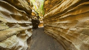 Hell’s Gate in Kenya, Rift Valley | Parks,Trekking & Hiking - Rated 3.7