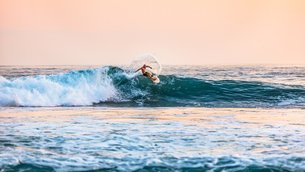 Costa Rica Dive and Surf | Surfing,Scuba Diving - Rated 3.9