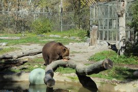 High Park Zu in Canada, Ontario | Zoos & Sanctuaries - Rated 3.6