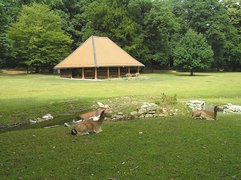 Hirschgarten in Germany, Bavaria | Parks - Rated 3.7