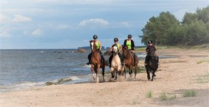 Hobuteenused OU in Estonia, Saare County | Horseback Riding - Rated 1.1