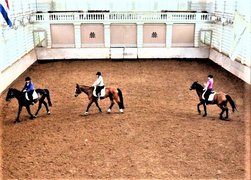 Hollandsche Manege | Horseback Riding - Rated 1