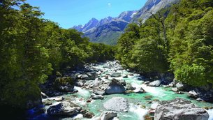 Hollyford Track | Trekking & Hiking - Rated 0.9
