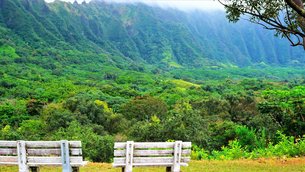 Ho’omaluhia Botanical Garden in USA, Hawaii | Gardens - Rated 3.8