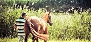 Horog Horses in Hungary, Central Hungary | Horseback Riding - Rated 1