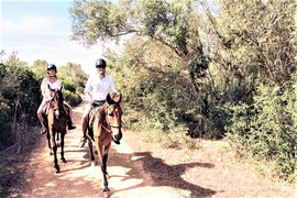 Horse Club Maurice | Horseback Riding - Rated 1