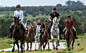 Horse Dreams in France, Ile-de-France | Horseback Riding - Rated 1