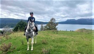 Horse Trekking Lake Okareka in New Zealand, Bay of Plenty | Horseback Riding - Rated 1