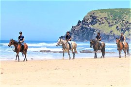 Horseback Beach Adventures in South Africa, KwaZulu-Natal | Horseback Riding - Rated 0.8