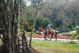 Horseback Riding Attractions