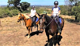 Woodlands Trail Riding | Horseback Riding - Rated 1
